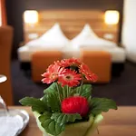Otel Hirsch 3*