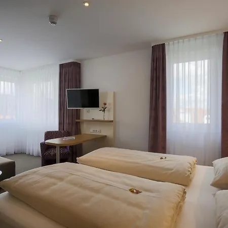 Hotel Hirsch 3*