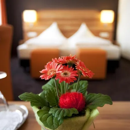 Hotel Hirsch 3*